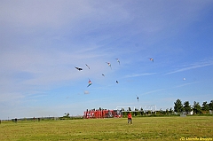 Venice kite festival_0628